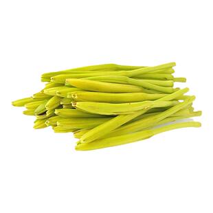 黄花菜根苗黄花菜种植苗食用黄花菜苗种孑多年生金针菜苗黄花菜苗