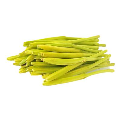 黄花菜根苗寿禾食用多年生四季