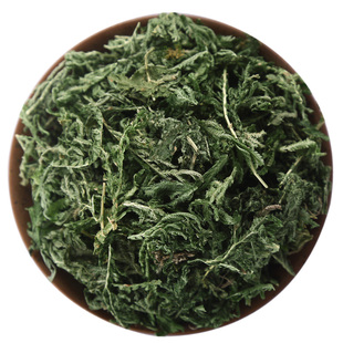 仙太医野生石上柏中药材500g克地柏草金龙草地侧柏石上柏药材