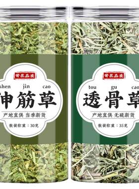 伸筋草透骨草中药材外敷泡脚茶包