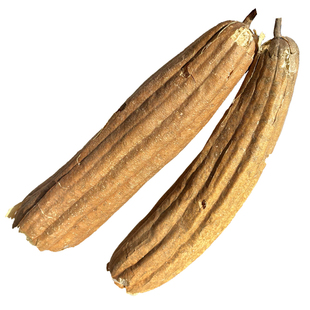 新鲜老丝瓜络干丝瓜瓤囊中药材天然泡煮水喝整根带皮农家带壳泡水