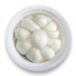 顺丰空运兰州甜百合兰州新鲜百合食用净片碗水果百合净菜特产干货