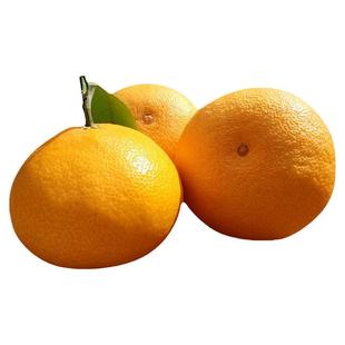 正宗象山红美人柑橘38号爱媛果冻橙新鲜水果浙江桔子一整箱礼盒装