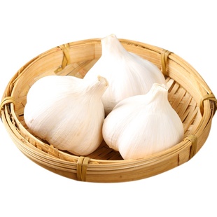 蒜妃苍山四六瓣大蒜老品种笨蒜兰陵大蒜头农家种植礼品盒装456瓣