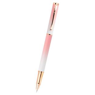 罗氏钢笔小学生三年级极细0.28专用正姿儿童练字套装可替换墨囊3-5年级男女孩卡通书写可擦纯蓝墨蓝刚笔刻字