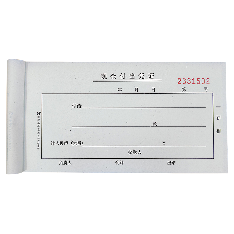 现金凭证国增收入付出支出