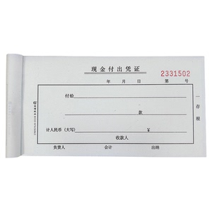 现金凭证国增收入付出支出