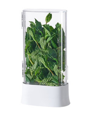 香菜小葱水培保鲜盒大蒜香草薄荷蒜苗芦笋水养冰箱收纳盒保鲜神器