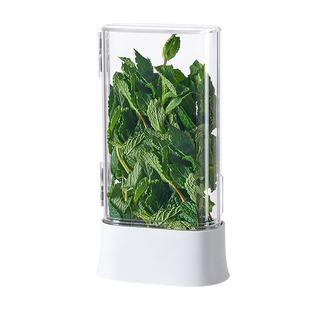 香菜小葱水培保鲜盒大蒜香草薄荷蒜苗芦笋水养冰箱收纳盒保鲜神器