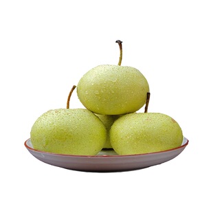 河北雪梨赵县特产赵州雪花梨