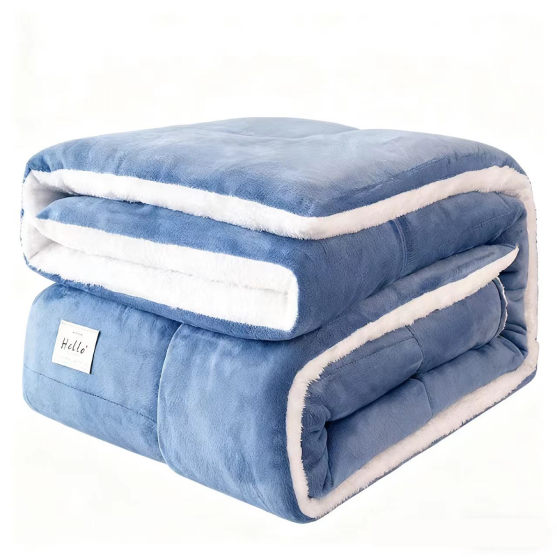 冬天牛奶羊羔绒冬被棉被被芯加厚