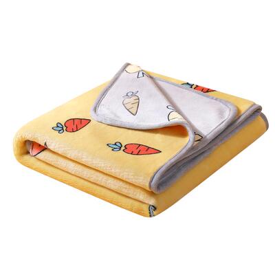 幼儿园四季通用盖毯小被子
