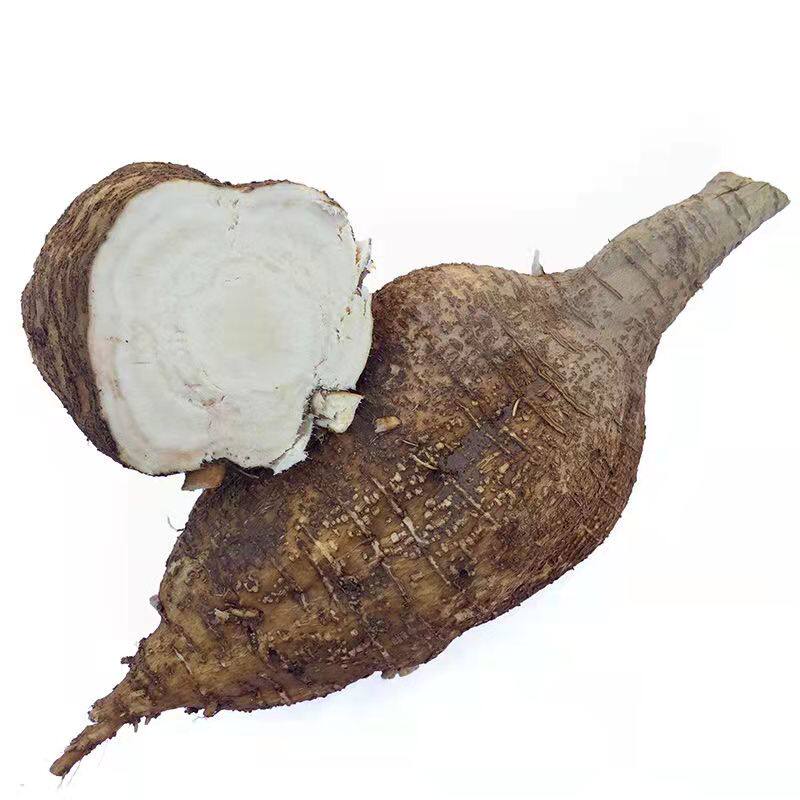 新鲜葛根现挖净重5斤包邮云南大山柴葛根无渣粉葛根解酒煲汤葛根