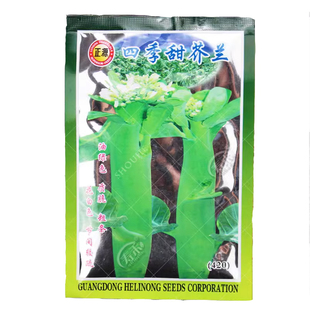 甜脆鸡腿芥蓝种子粗条籽芥兰广东四季菜籽大菜秋季蔬菜种籽孑菜种