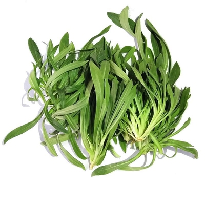 2026年新鲜面条菜羊蹄棵天然野菜柳叶菜蒸菜美食农家现挖现发包邮