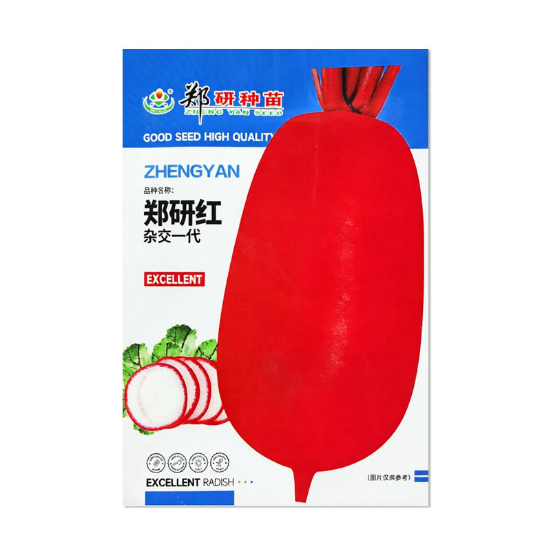 郑研红萝卜种子红皮白肉萝卜
