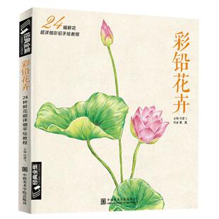 彩色铅笔花卉绘画入门教程书籍临摹零基础初学者飞成人温情乐鸟手绘插画本多肉人物古风儿童教材 经典全集杨建飞