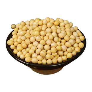 东北农家黄豆新货非转基因高蛋白打豆浆专用颗粒饱满五谷杂粮