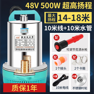 抽水泵12V直流潜水泵农用灌溉48V水泵电动车家用60V小型抽水机