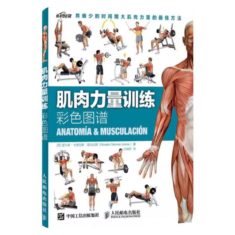 肌肉力量训练彩色图谱健身教程教练人体肌肉解剖健身教练体能训搭肌肉健美训练图解指南ry