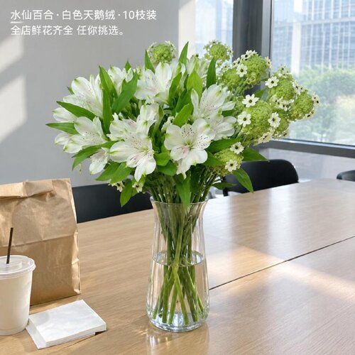 云南鲜切花水仙百合白色天鹅绒六出花鲜切花材斗南直发节日配花家