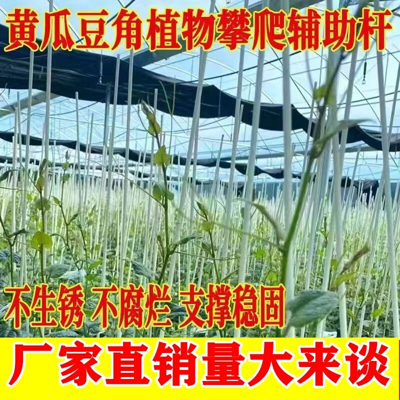 新型拱棚支架实心花棚骨架丝瓜二膜高强弹性工棚杆子玻璃钢支撑条