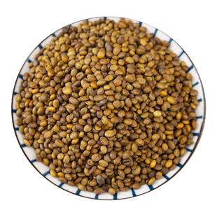 苦豆子中药材苦豆子 芦巴豆 芦巴子 季豆 香豆子 香苜蓿500克包邮