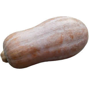 现摘2025当季广西密本老南瓜农家种植红肉新鲜粉糯宝宝辅食黄南瓜