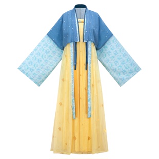 醒春集【星芒】唐制汉服唐背子对襟衫齐胸裙明亮织银细闪撞色春夏