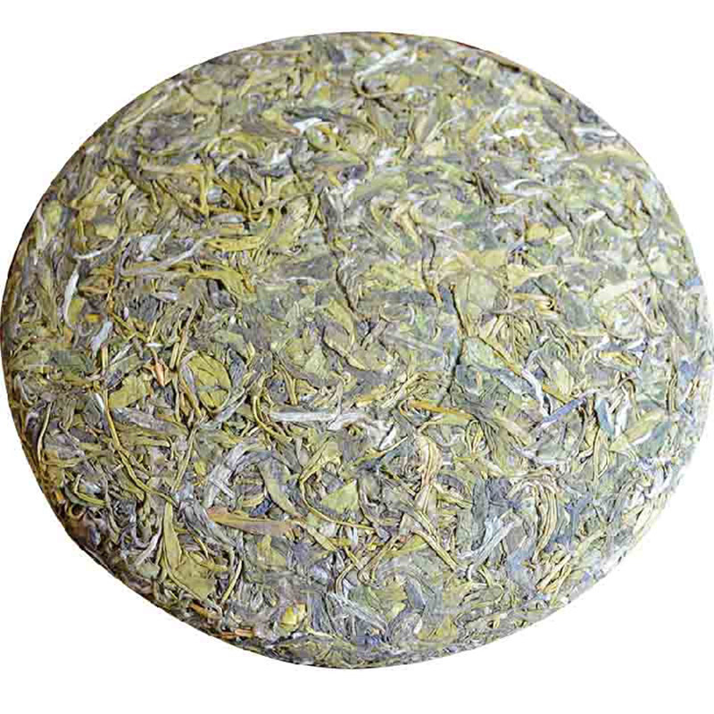 正宗浙江温州平阳老树黄茶