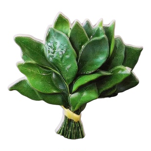 柚子叶冰箱贴去晦气磁贴转运个性创意磁吸装饰可爱趣味高级亚克力