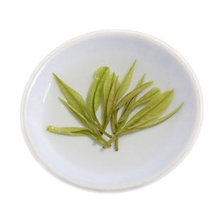 【年底清仓 半价销售】敬亭绿雪白茶黄金芽奶白茶2025年新茶