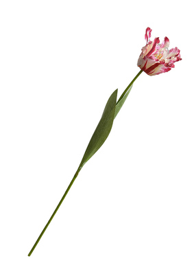 长枝大朵郁金香仿真花重瓣蕾丝边