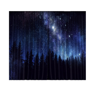 网红款全遮光北欧风星空窗帘客厅卧室隔音帘飘窗落地窗阳台遮光布