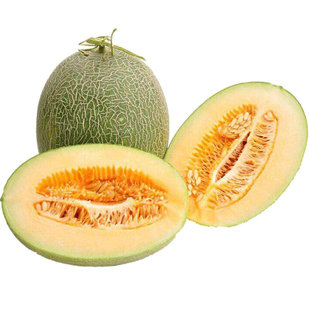奶香蜜王哈密瓜种子种籽孑 北方香甜水果甜瓜超甜 春季中早熟抗病