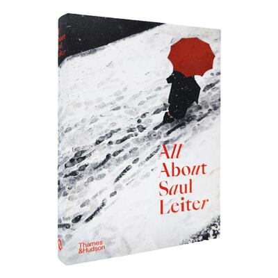 AllAboutSaulLeiter