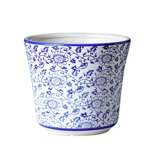 青花瓷中国风家用高档陶瓷花盆高级感兰花专用冬青虎皮兰蝴蝶兰盆