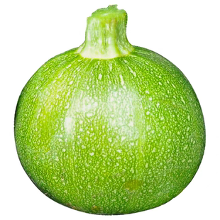 云南嫩南瓜新鲜嫩南瓜现摘西葫芦瓜圆形绿皮嫩瓜甜瓜金瓜农家蔬菜