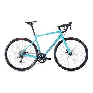 SPECIALIZED闪电 ALLEZ E5 DISC  碳纤维前叉碟刹耐力公路自行车