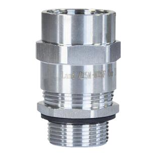蓝江 接管式不锈钢防爆格兰头304金属内外螺纹挠性管连格葛兰头