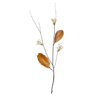 广玉兰花干花花束客厅摆设真花天然树枝树干装饰摆件干树枝插花