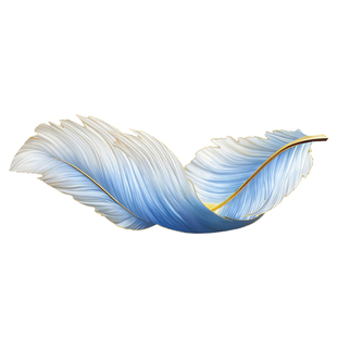 羽毛客厅装饰画沙发背景墙挂画高级感LED灯卧室床头壁画玄关灯画