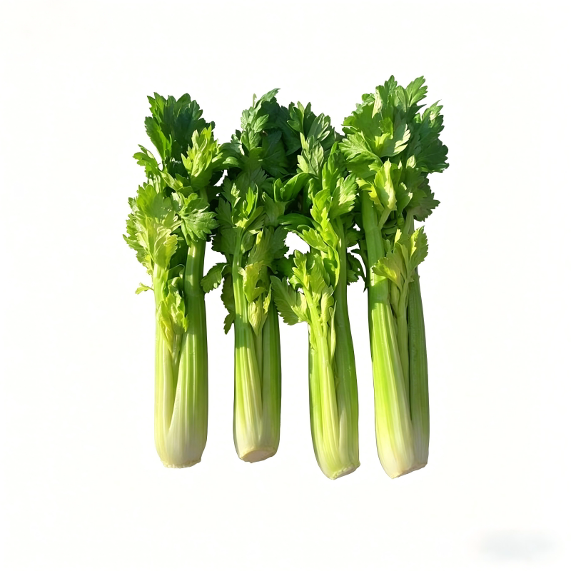 【升级送1斤】清芹芯水果清芹芽新鲜云南高原绿色蔬菜现摘