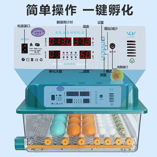 孵化器小型家用型全自动智能孵蛋器鸡鸭鹅芦丁鸡迷你孵化机孵化箱