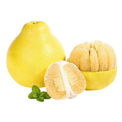 正宗梅州老树沙田柚包邮