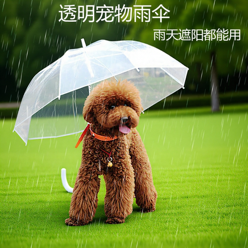 狗狗时尚透明雨伞宠物泰迪比熊小型犬博美柯基专用牵引雨天遛狗伞