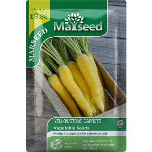 【MARSEED火星家】传家宝Yellowstone黄石胡萝卜种子籽孑苗