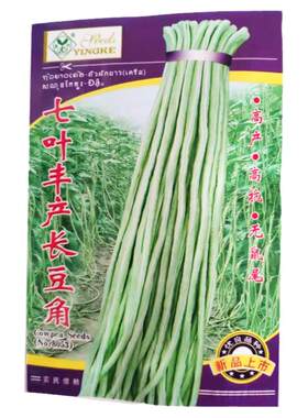 蔬菜种子四季种植单包送肥
