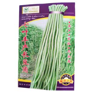 四季菜种子籽蔬菜种子粉丝特惠原装春秋豆角辣椒玉米种子阳台菜园