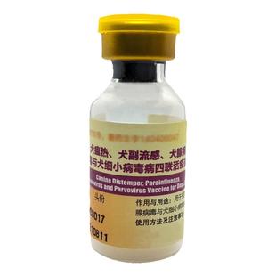 中牧犬四联疫苗犬瘟细小幼犬宠物泰迪土狗养殖场小狗疫苗育苗官方